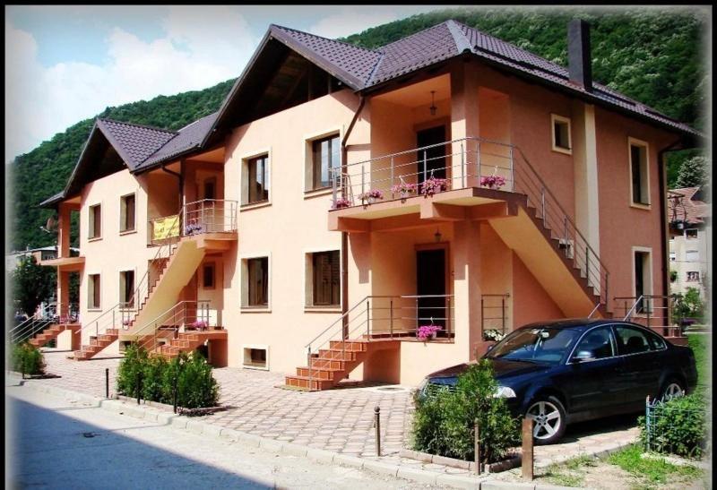 Pension Camelia photo 3