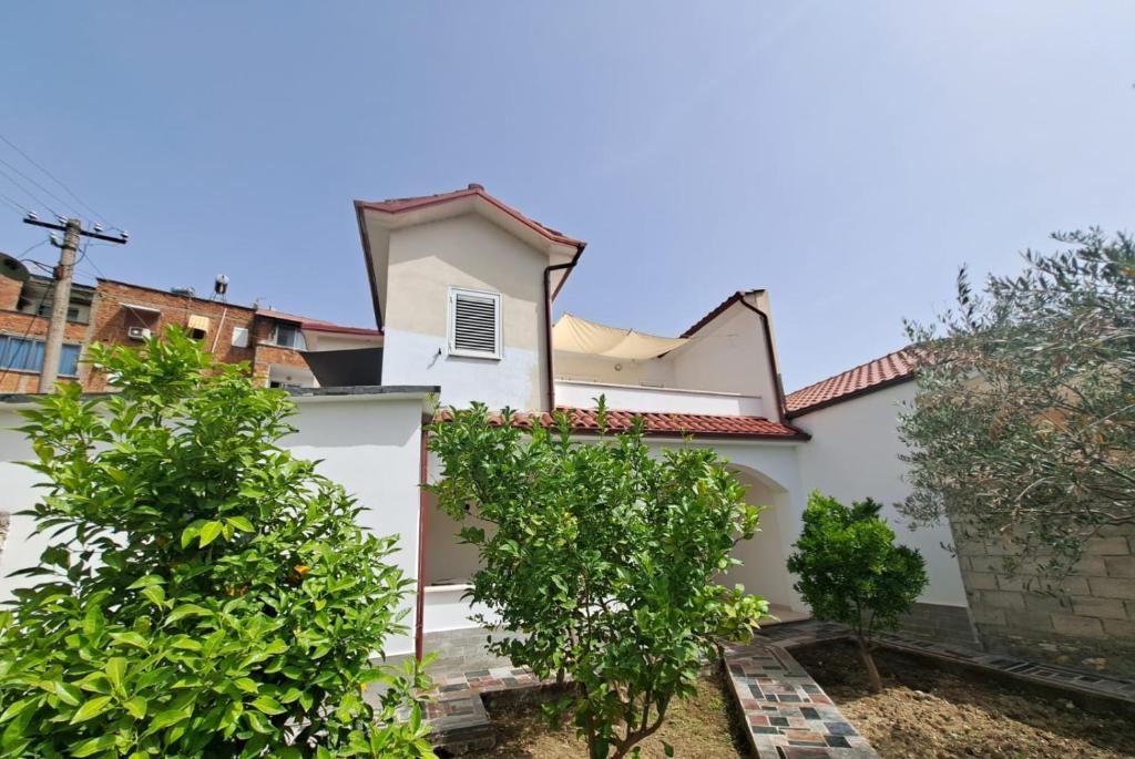 Vila Vokopola photo 3