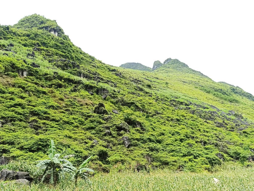 Homestay a kiệt