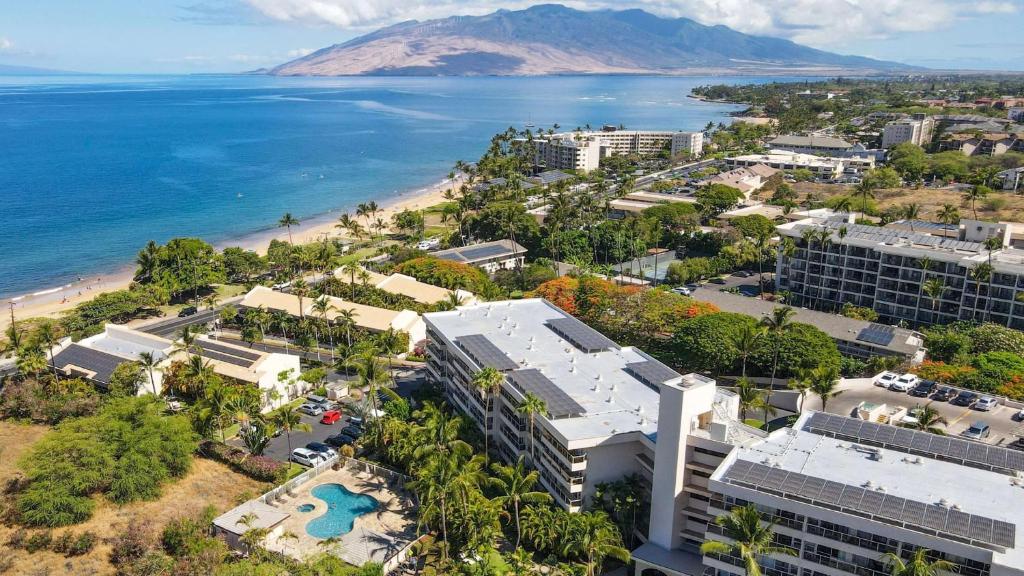 Aston at the Maui Banyan image