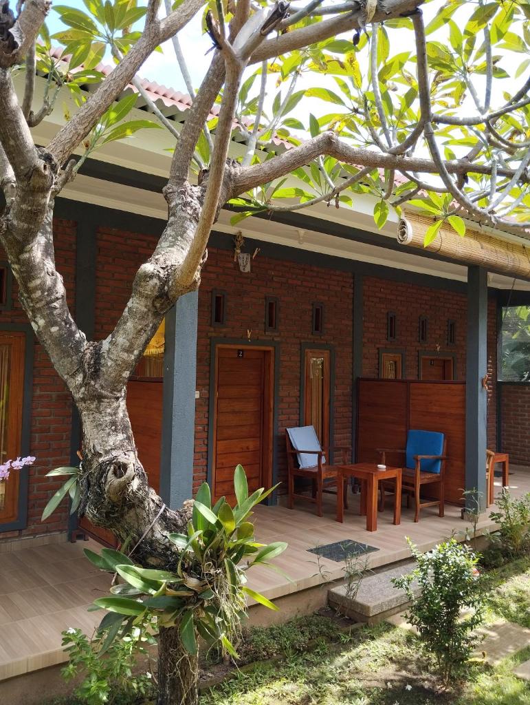 Tunjung guest house lovina beach photo 3