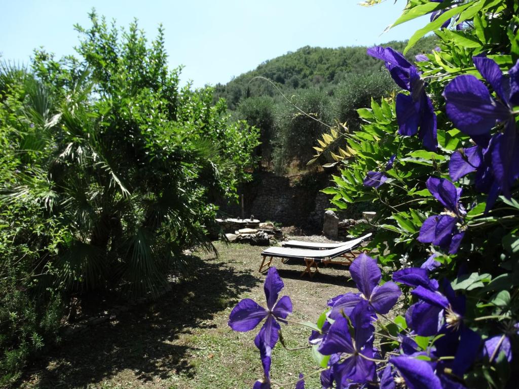 B&B Ududemà photo 3