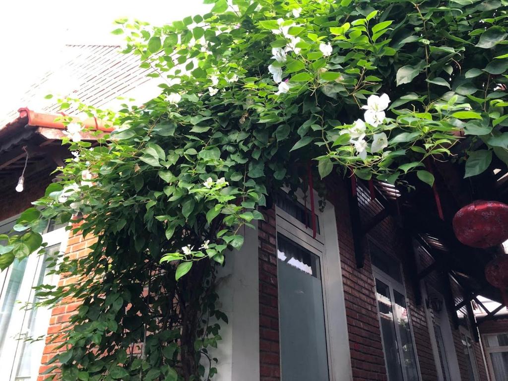 Q'Tropical Garden Homestay