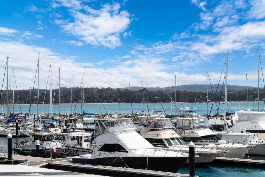 Harbour Marina - Absolute waterfront apartment photo 3