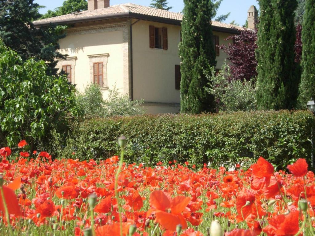 Camere La Rugiada photo 2