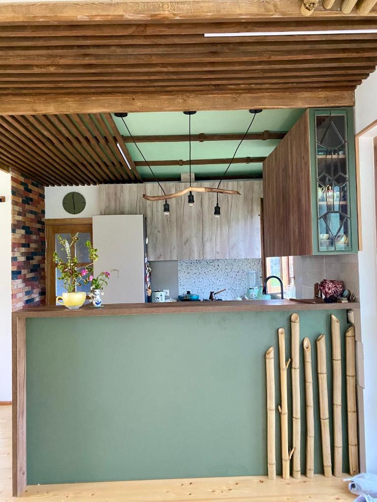 Eco Art House