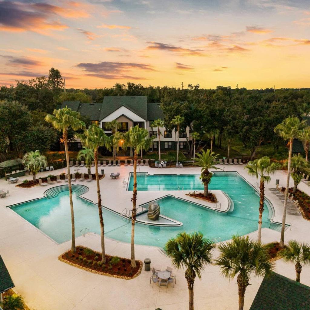 Busch Gardens USF 10 MI to DT Tampa image