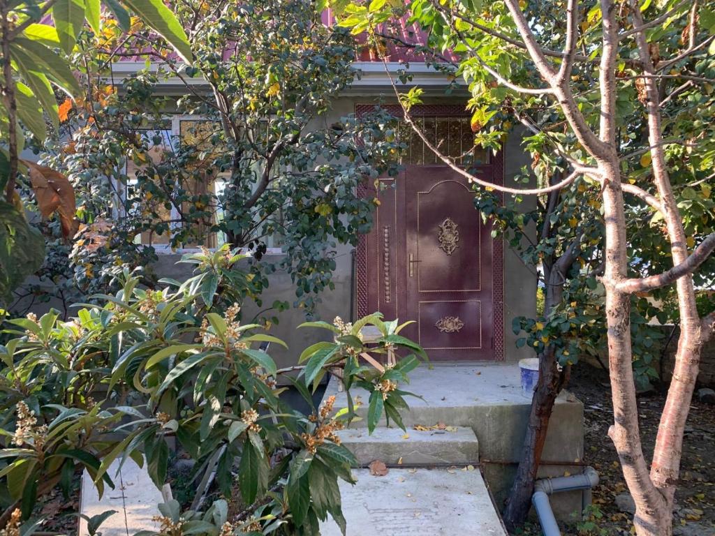 My Cozy house photo 1