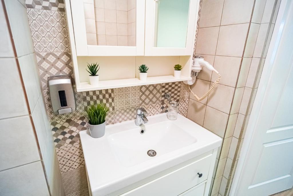 Cozy Apartments near Calea Victoriei Room Type - Superior Apartment with Balcony
