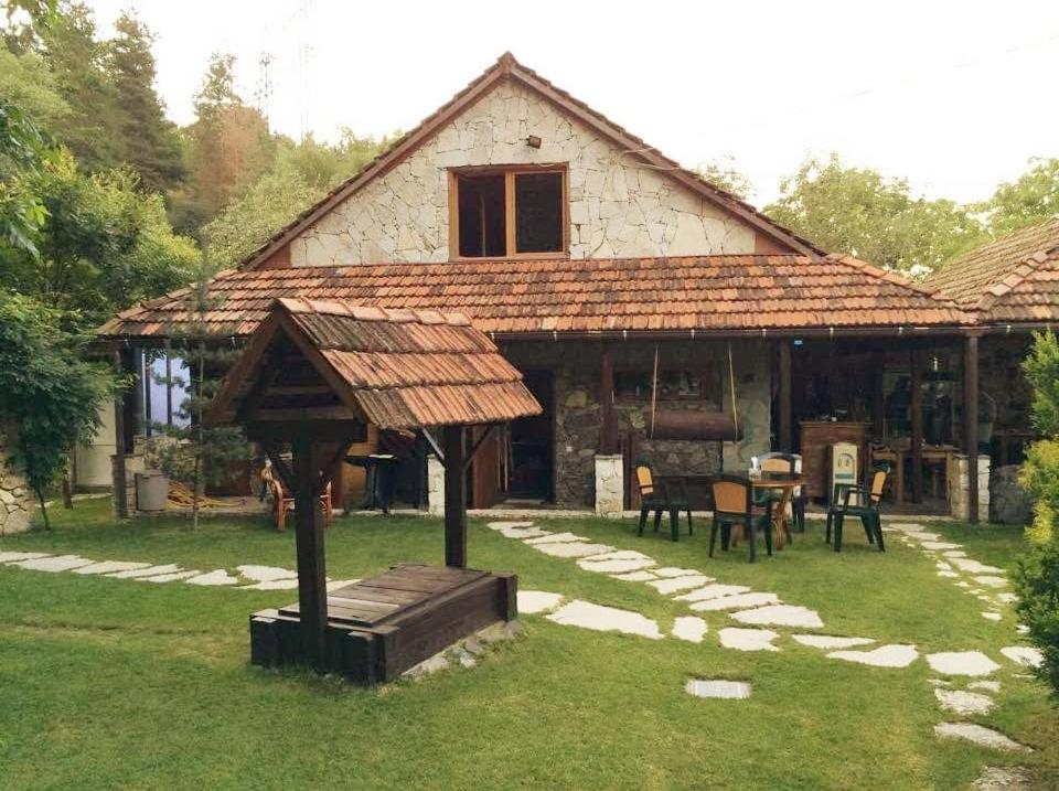 Green Hostel photo 2