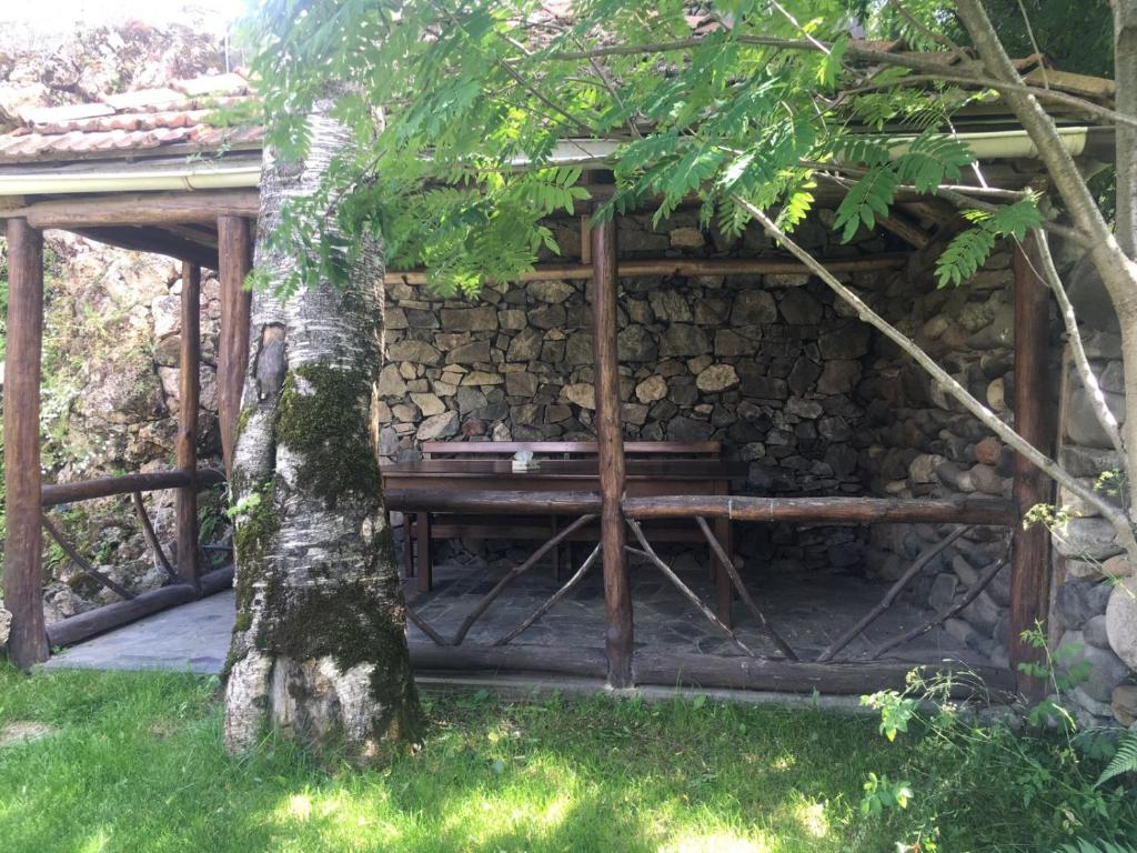 Green Hostel photo 3