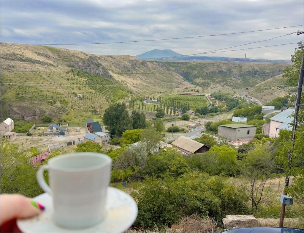 Villa in Bjni photo 1