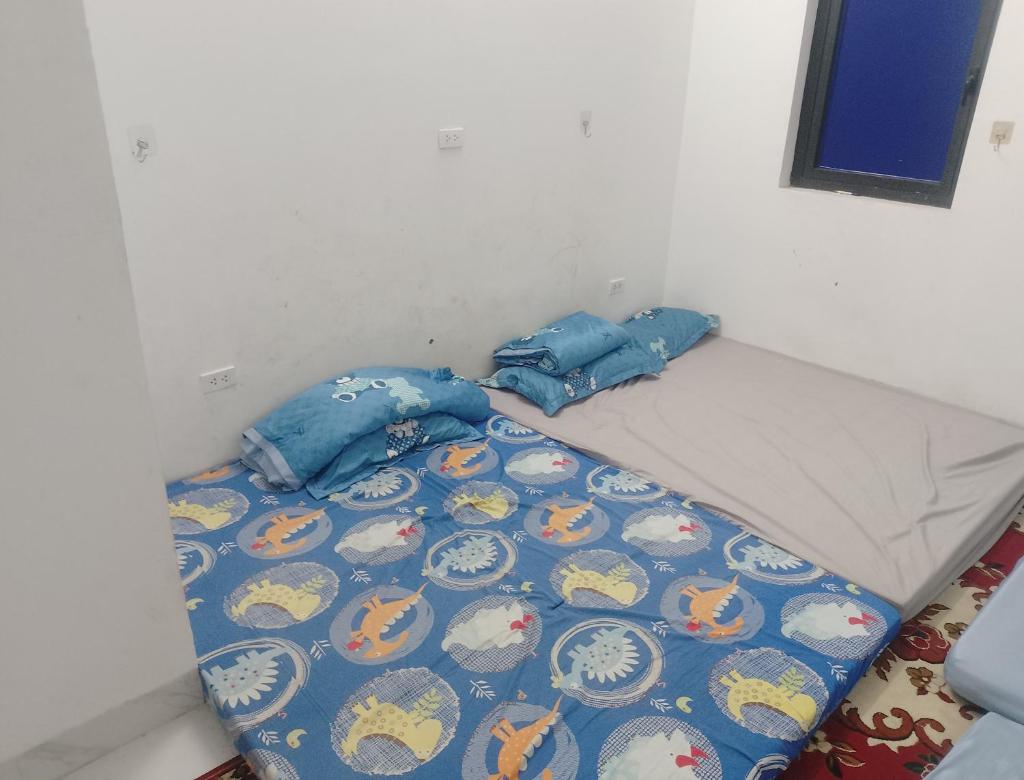 Sao biển 8 căn 159