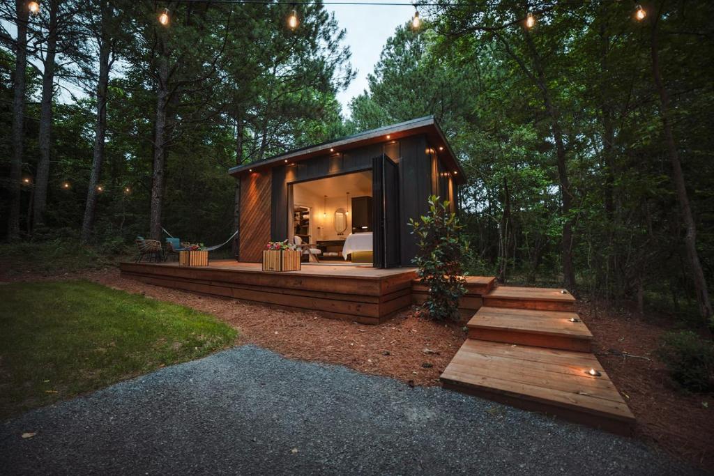Forest Hideaway image