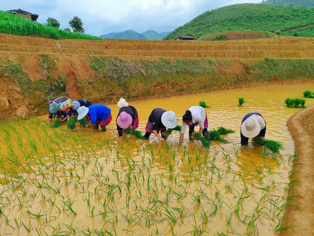 Trekking tour Mu Cang Chai hostel & Motorbikes for rent