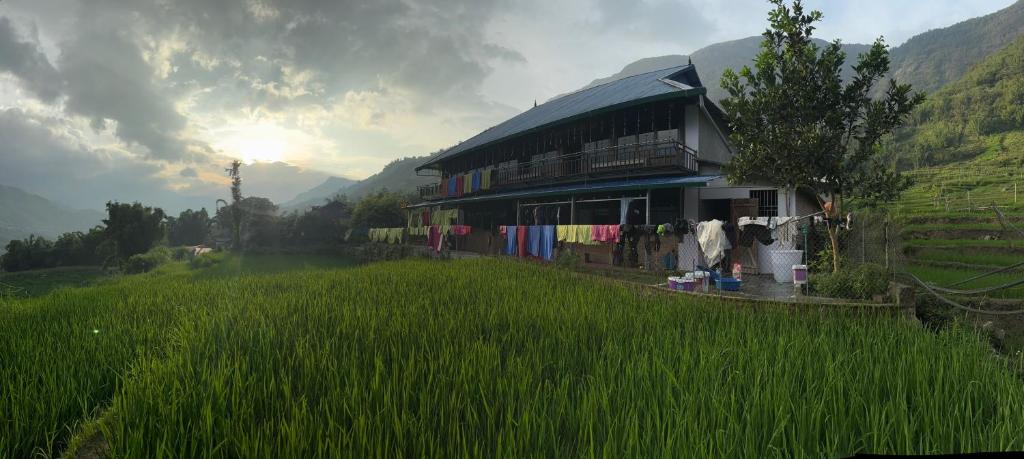 Ms.Si Hmong Flower House