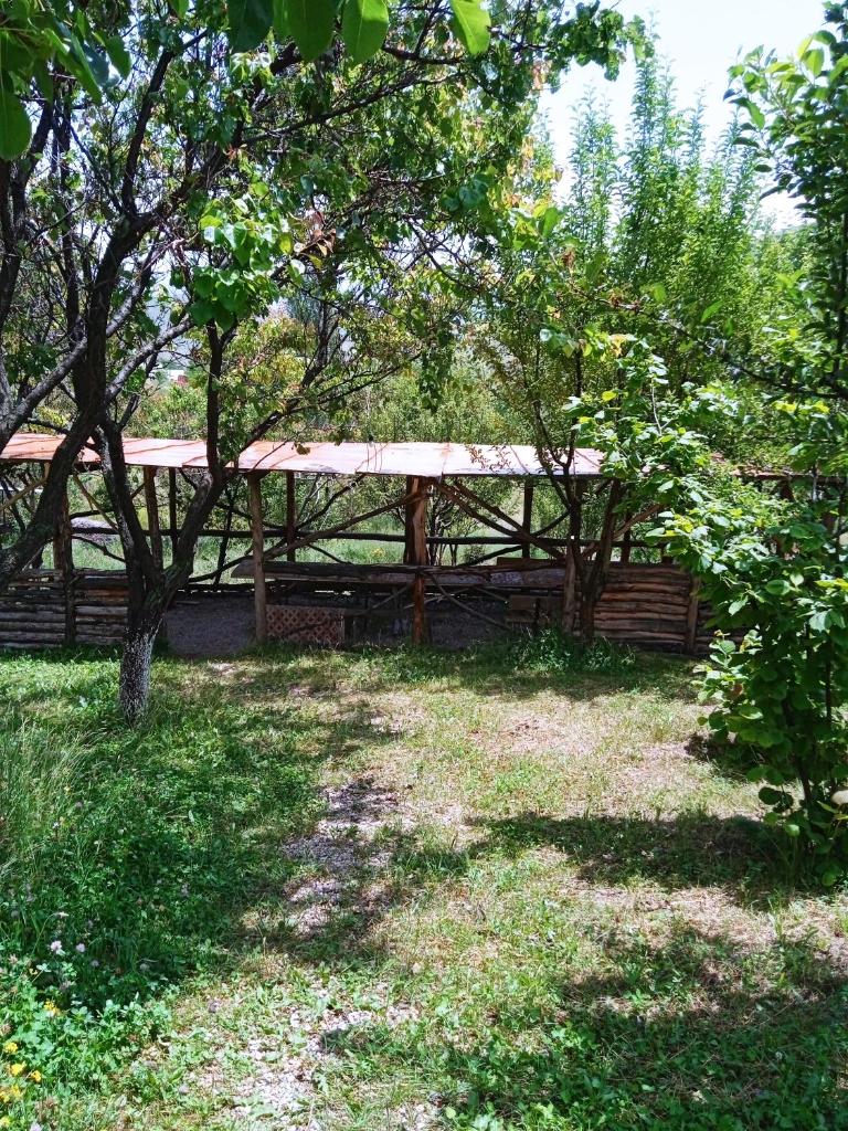 Vanqi dhor photo 2