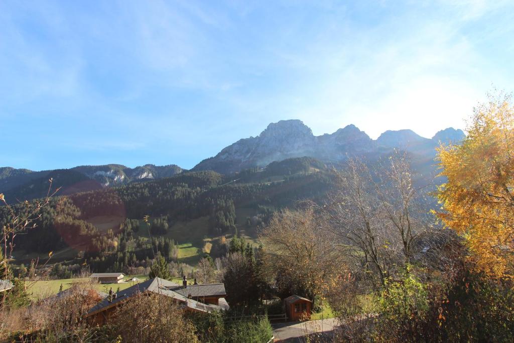 Les Jumelles photo 2