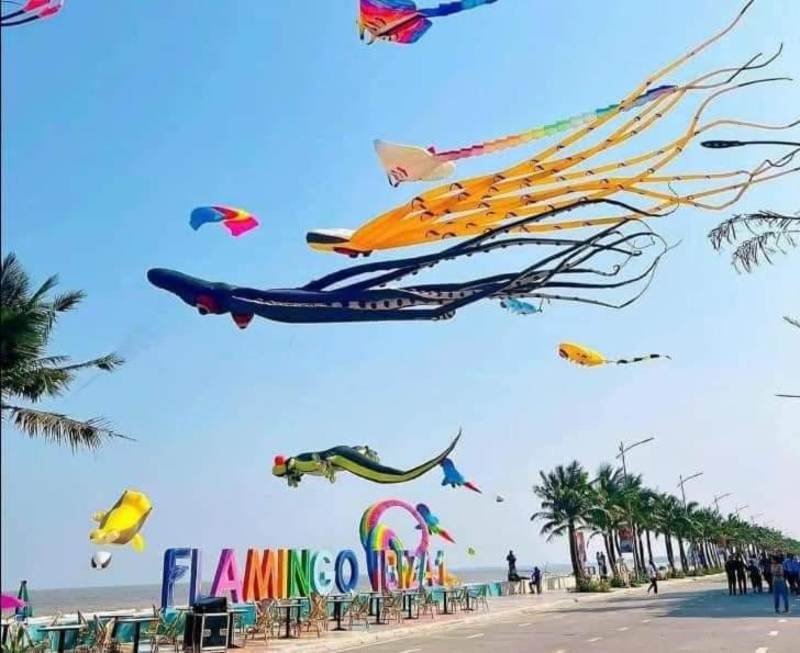 IB708 flamingo haitien