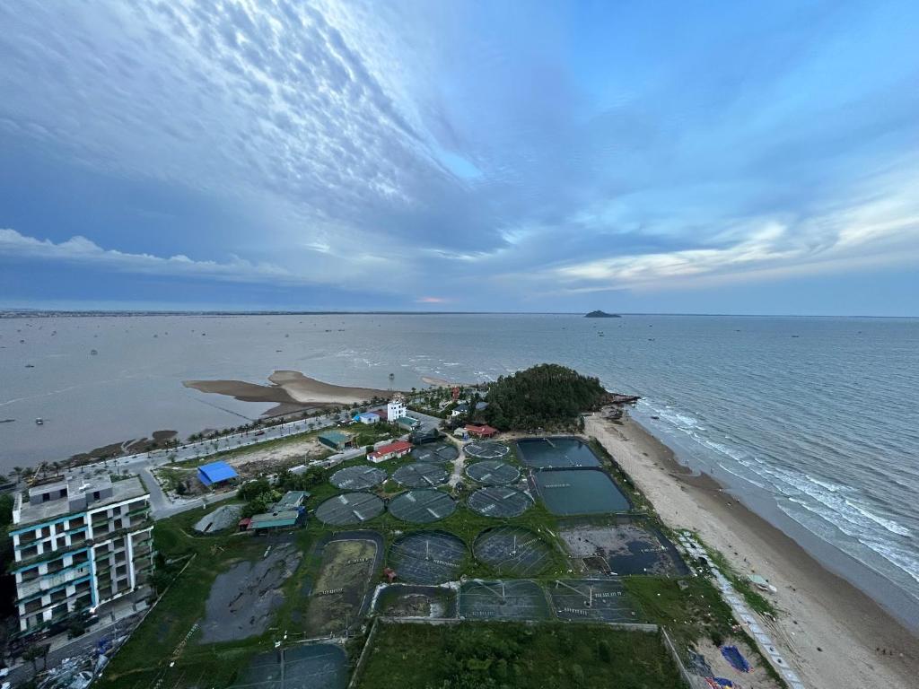 IB708 flamingo haitien