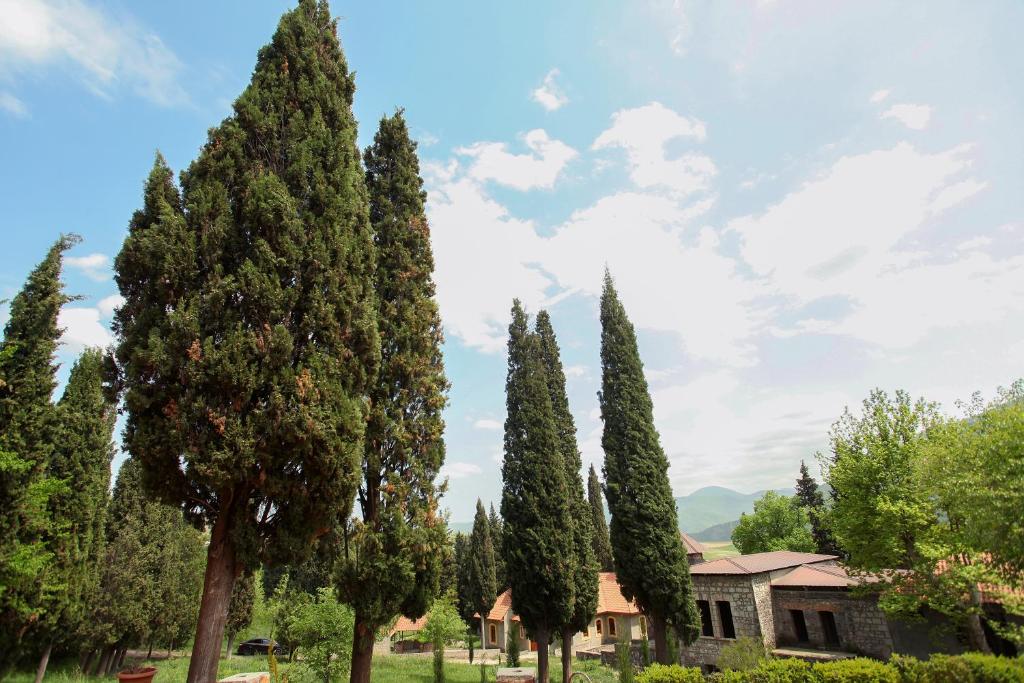 Aramyants Castle photo 3