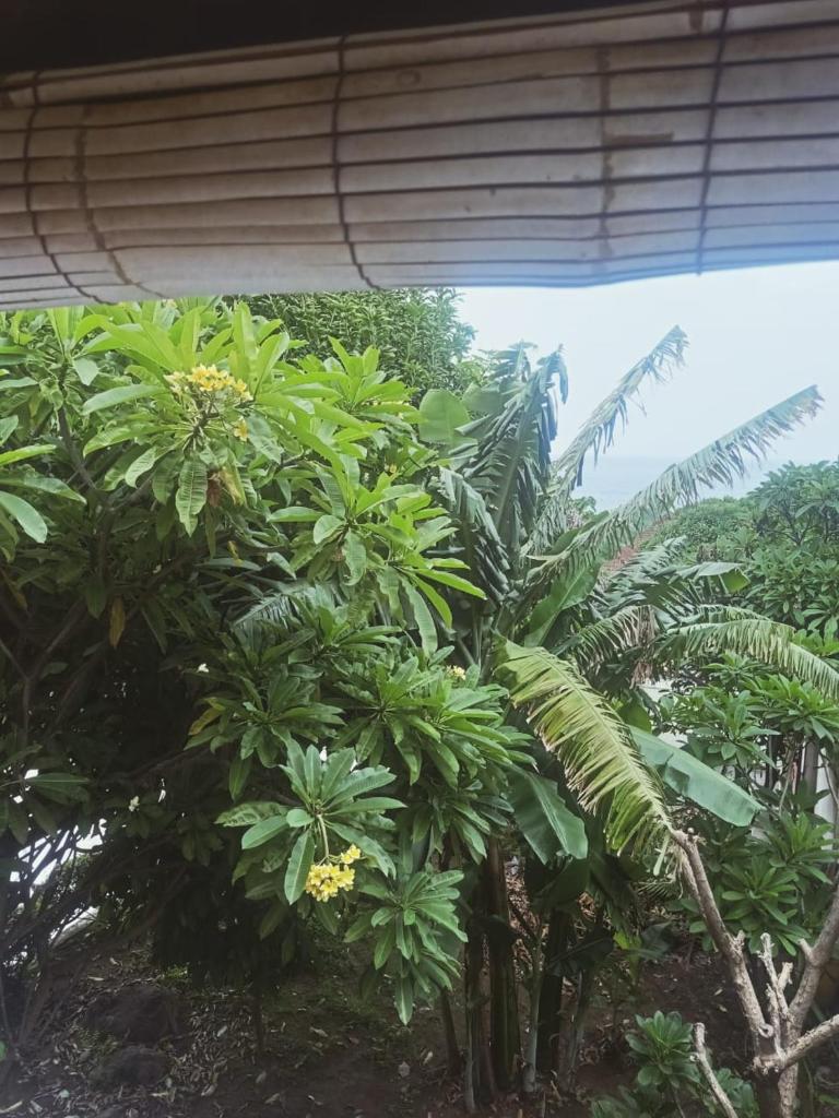 Fishermen's Guesthouse photo 2