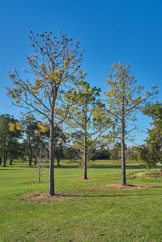 La Cantera Eco Hotel & Golf photo 3