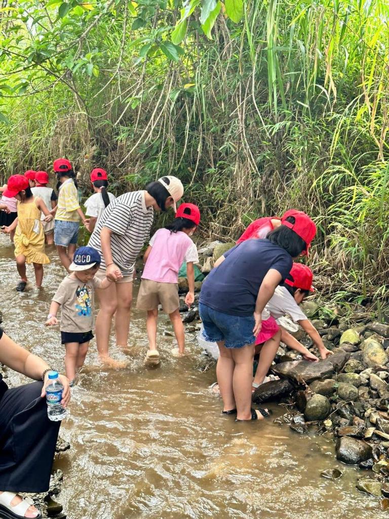 Trang Trại Gia Trịnh