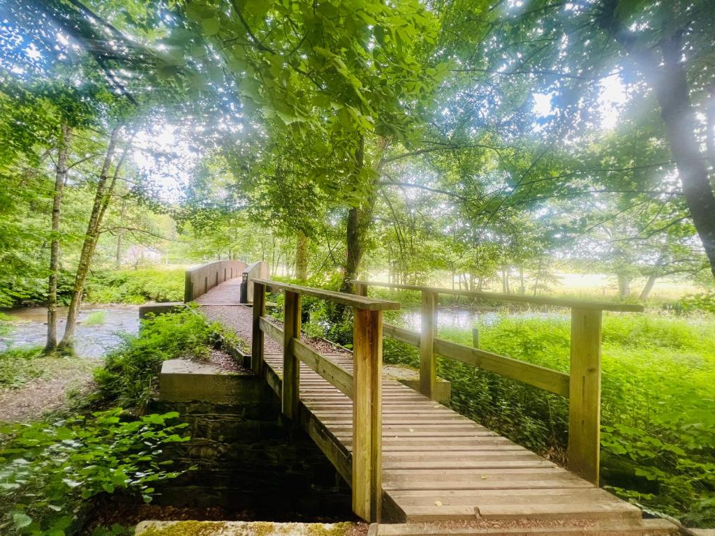 La balade en forêt - gîte 9 personnes en Ardenne photo 2