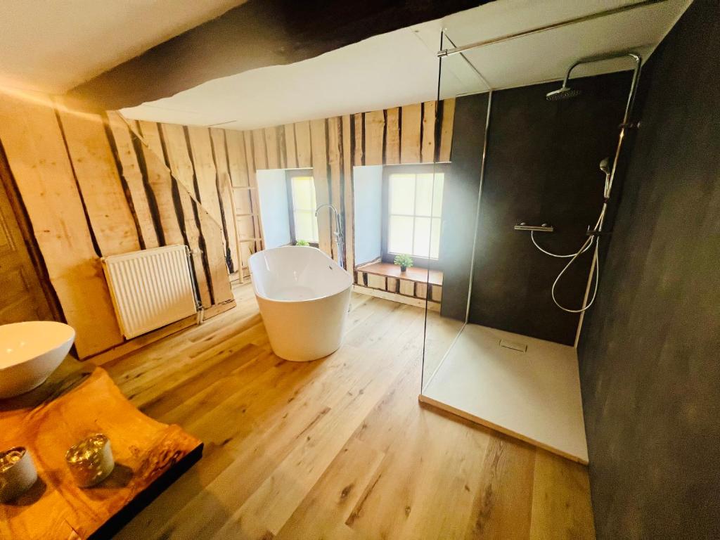 La balade en forêt - gîte 9 personnes en Ardenne photo 4