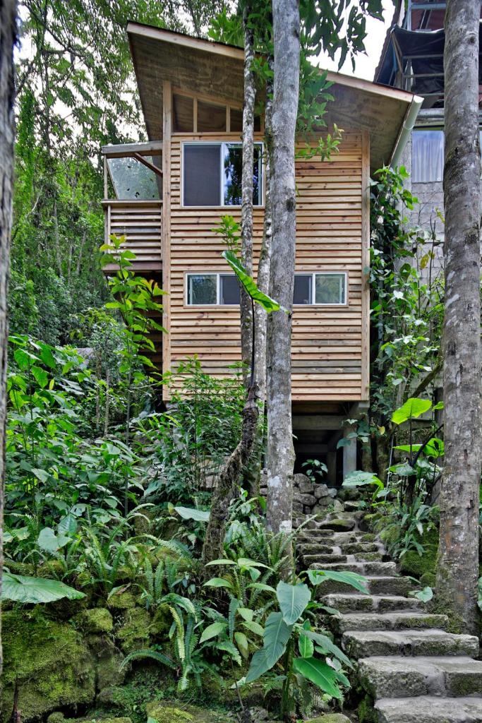 Tree House Lodge photo 1