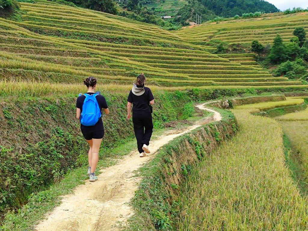 Trekking tour Mu Cang Chai hostel & Motorbikes for rent