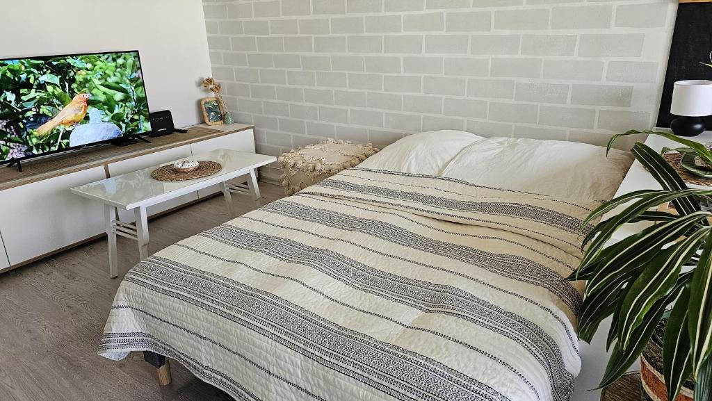 Cozy Boho small apartment - Tap to explore photos