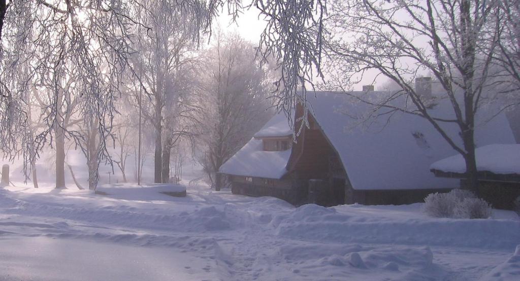 Metsatu Valge Elevandi puhkemaja photo 1
