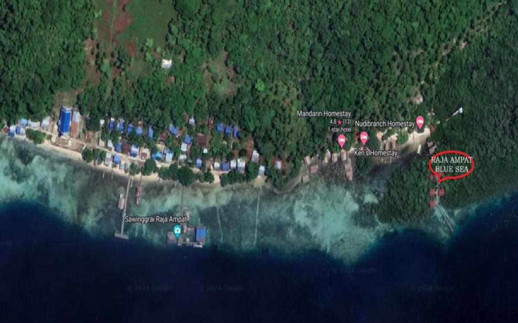 Raja Ampat Blue Sea photo 4