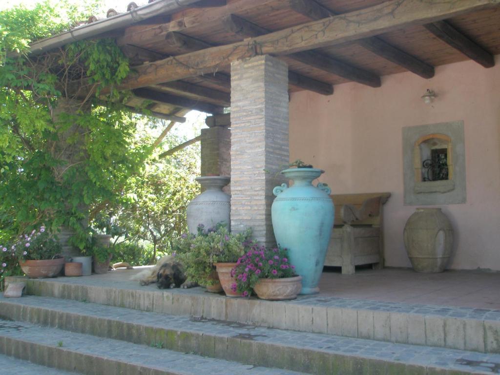 L'Oasi di Aaron photo 3
