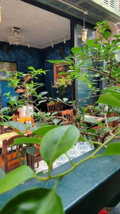 Greenland in the old quarter