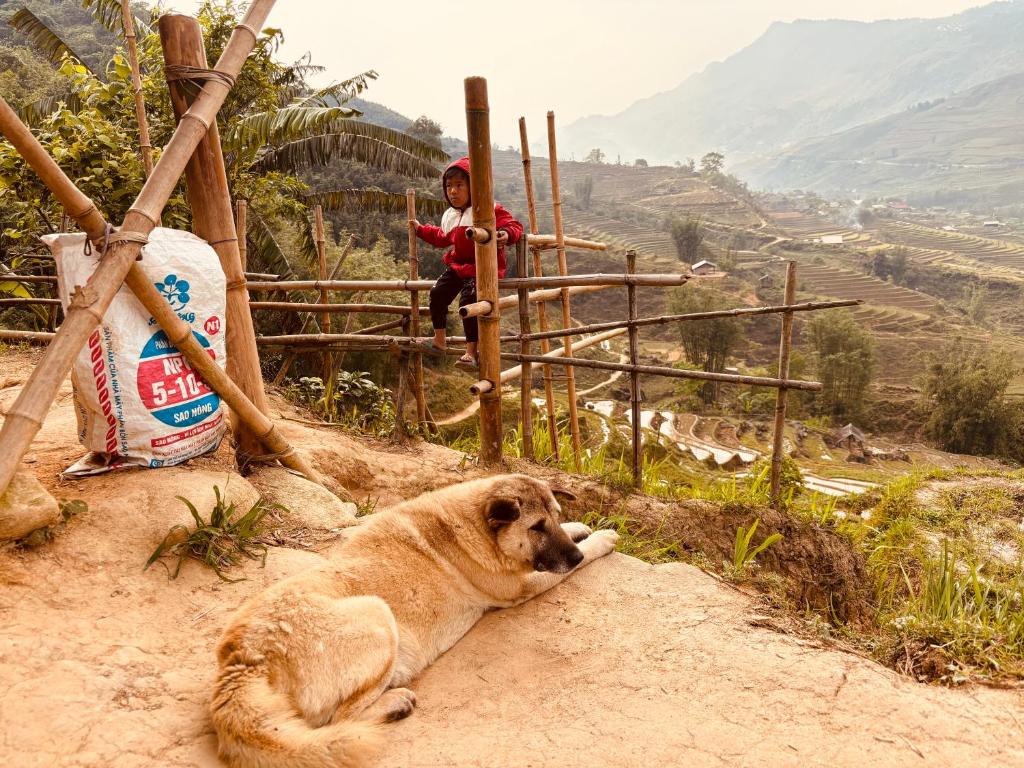 Sapa Tranquilla Chalet