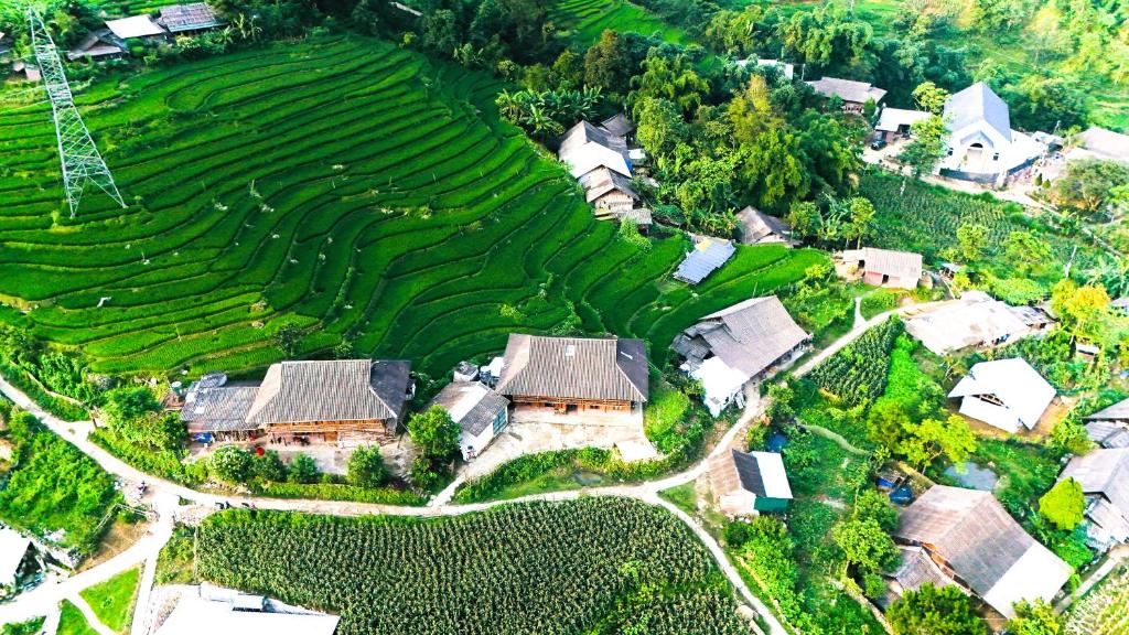 Sapa Tranquilla
