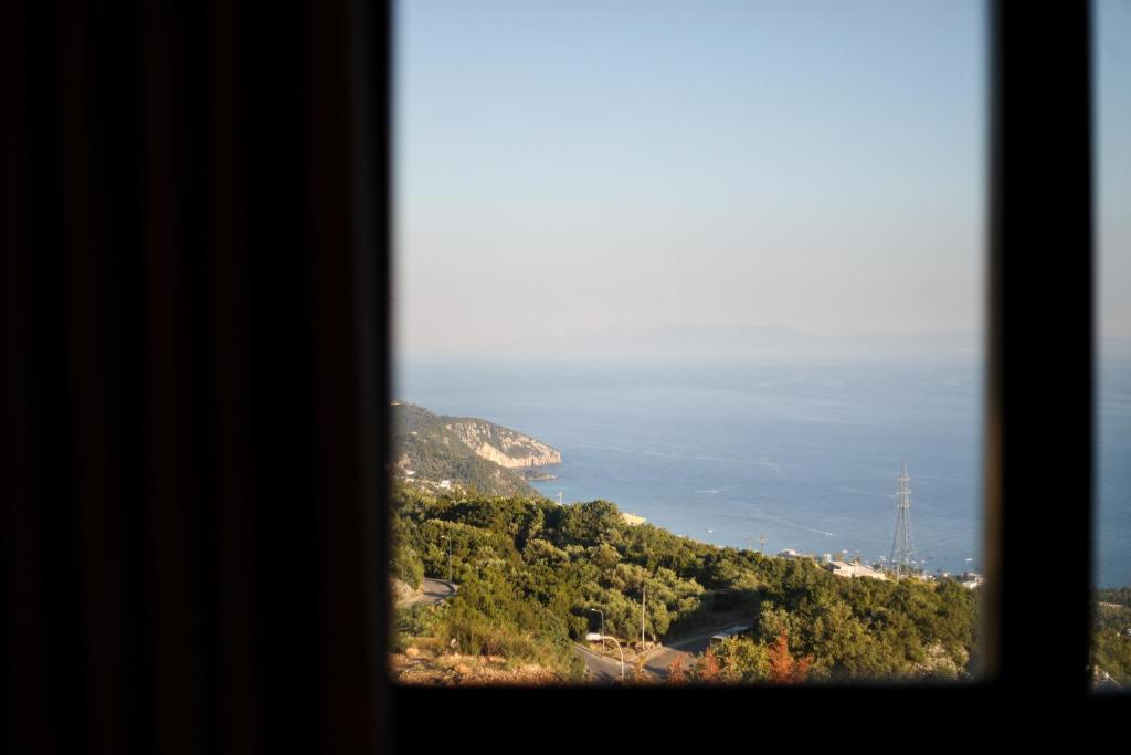 Aurum Hotel photo 4