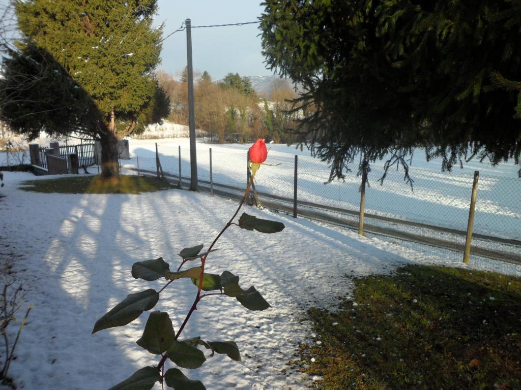 B&B Cuei di Baret photo 1