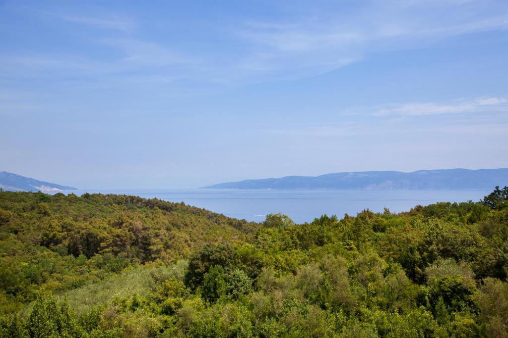 Villa Lidija photo 4