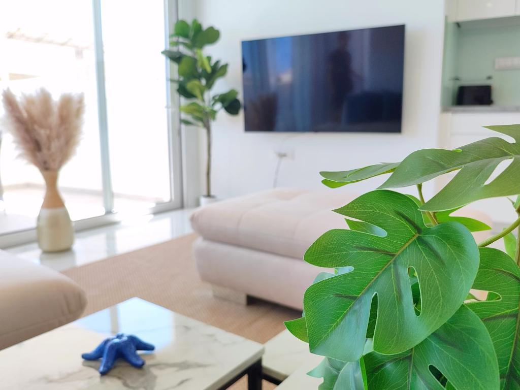 Deluxe Ocean View Penthouse - Pool & free parking - Tap to explore photos