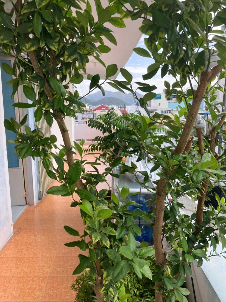 Green Homestay - Chợ Đầm