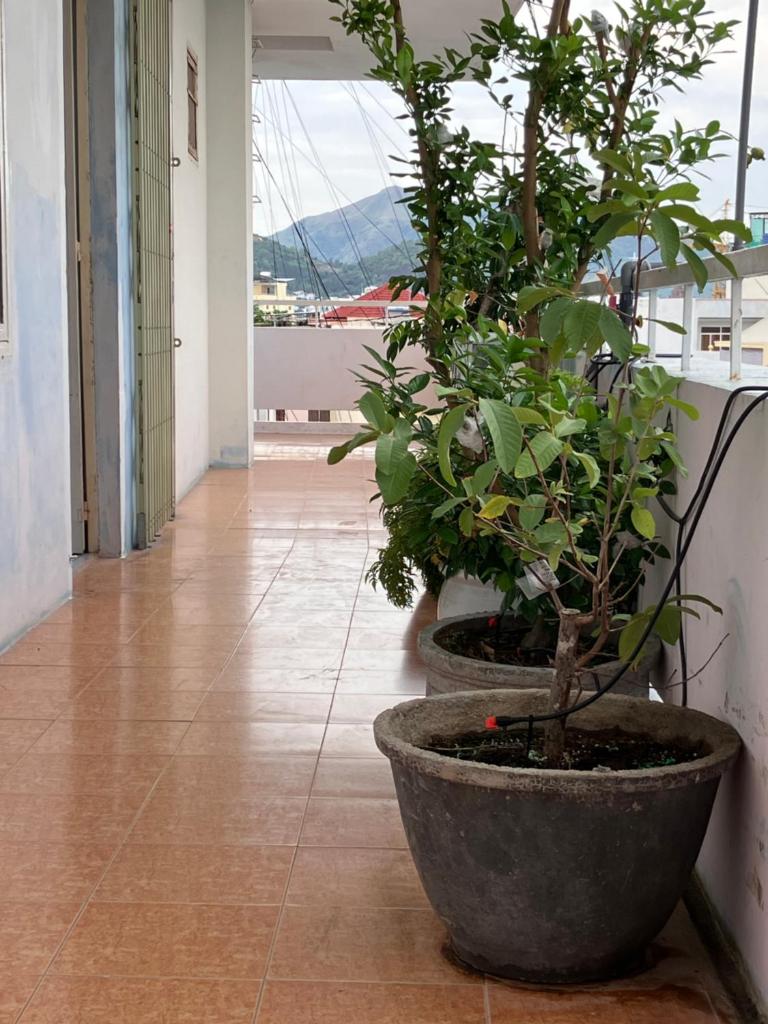 Green Homestay - Chợ Đầm