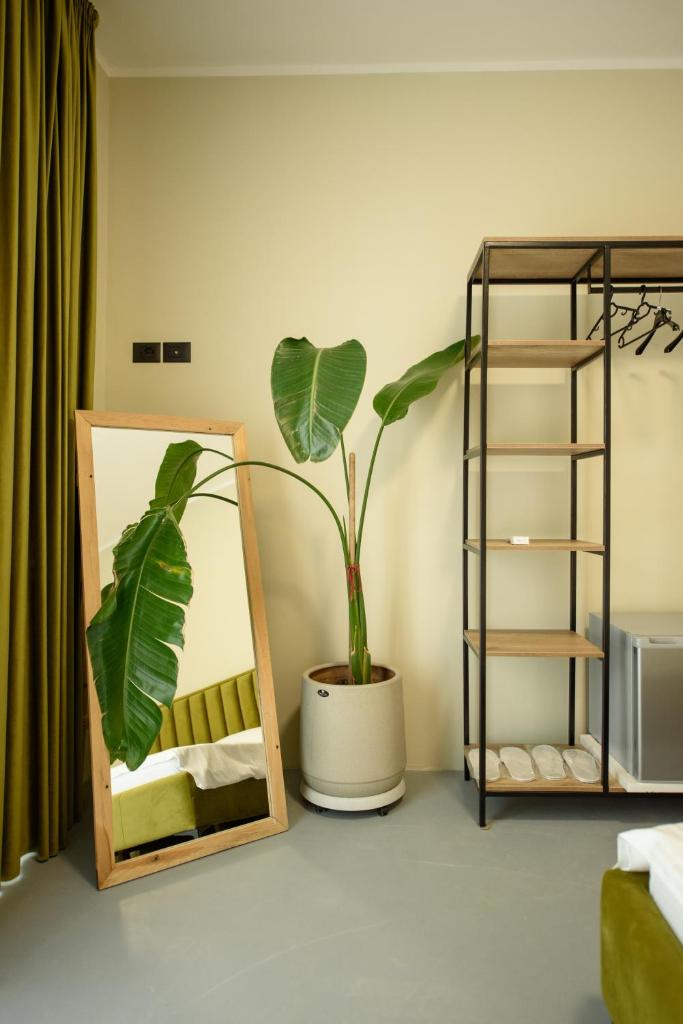 Olivium Rooms photo 1