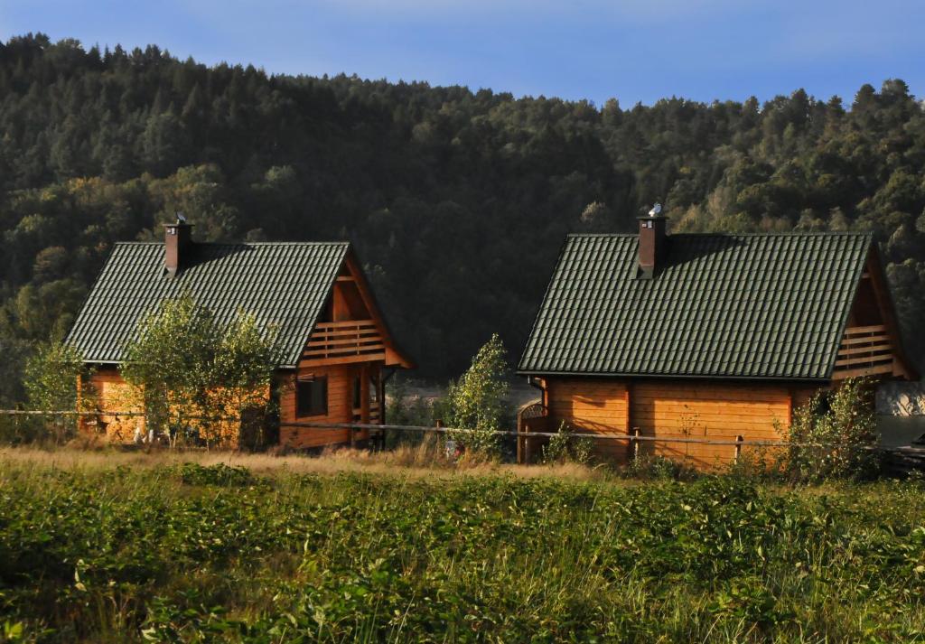 Domki nad Soliną photo 2