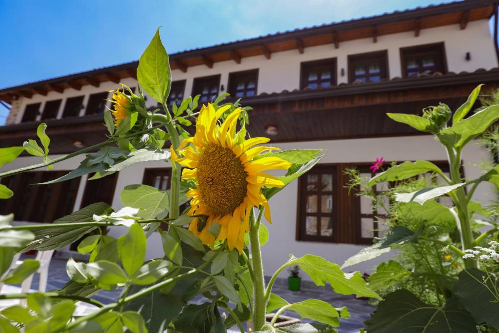 The House of Dollma , Inside Kruja Castle