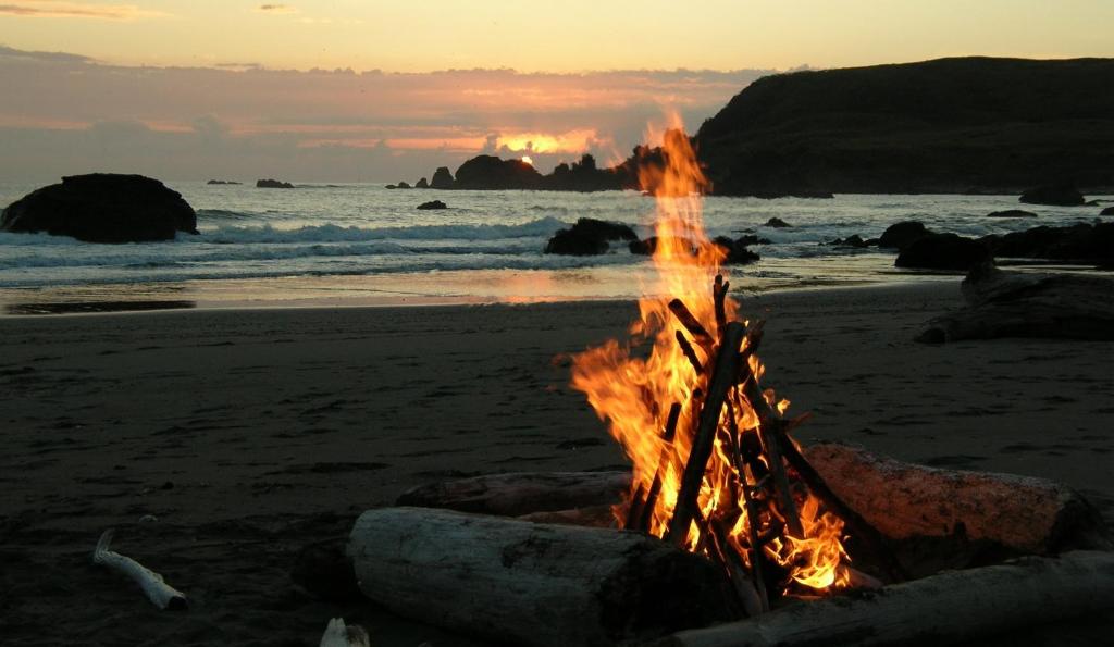 Cozy Central 2BDR - Entertainment, Sports, Restaurants and more! image