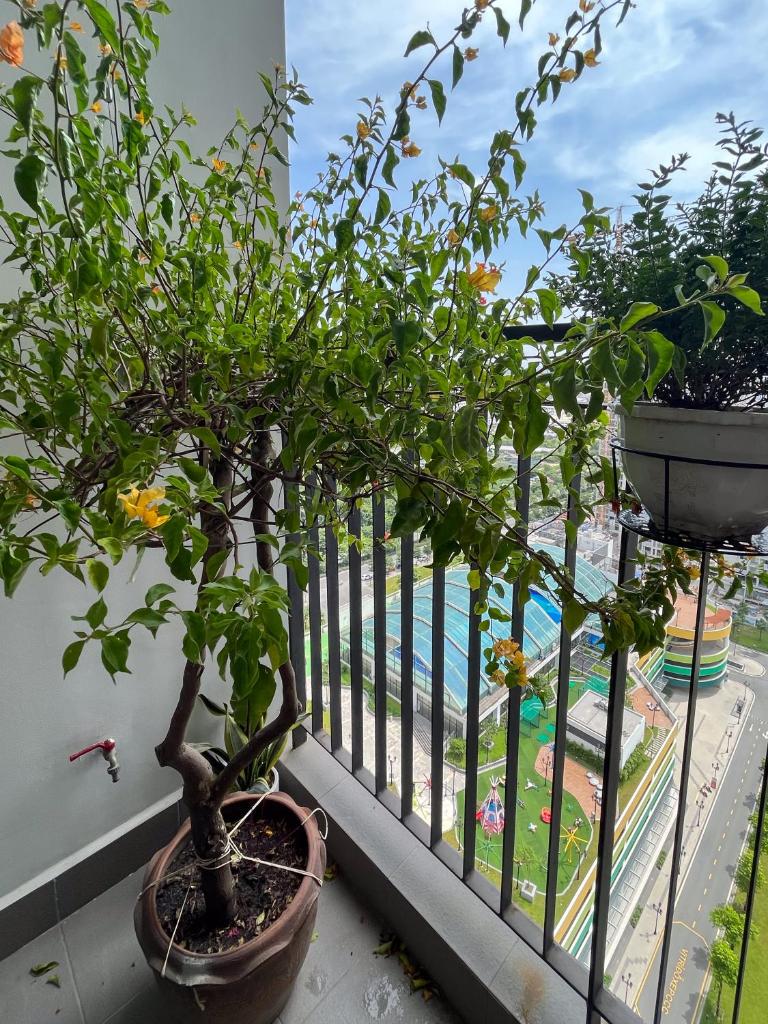 1BR Studio Vinhomes Apt Swimming Pool & Villa View